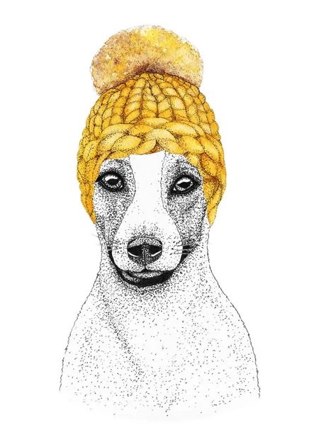 Jack Russell Terrier Avec Chapeau Tricoté Jaune Écharpe Illustration Dessinée — Photo