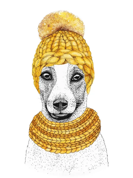 Jack Russell Terrier Avec Chapeau Écharpe Tricot Illustration Dessinée Main — Photo