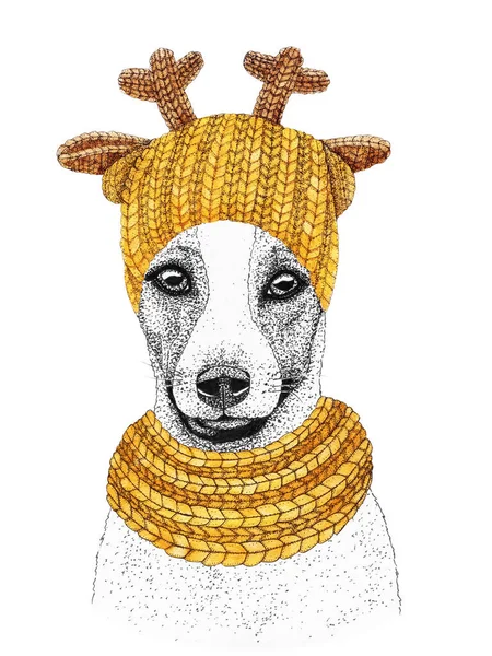 Jack Russell Terrier Con Sombrero Punto Amarillo Bufanda Ilustración Dibujada —  Fotos de Stock