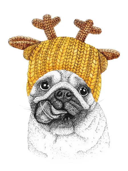 Mops Złotym Dzianym Kapeluszu Szaliku Ręcznie Rysowane Ilustracje Ubranego Psa — Zdjęcie stockowe