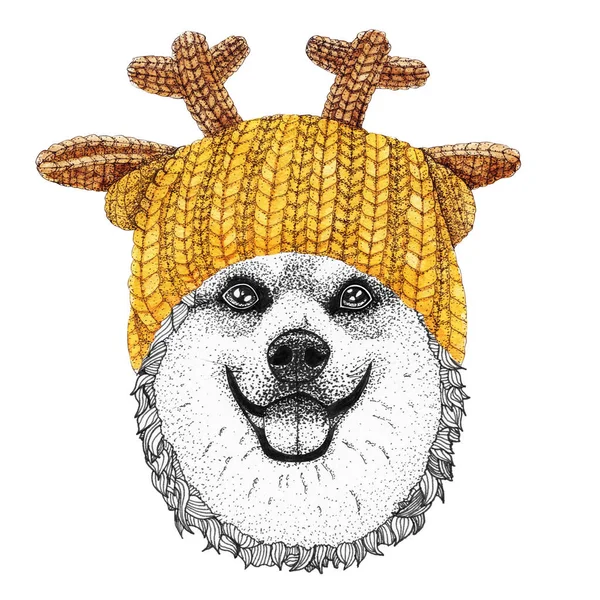 Altın Örülmüş Şapka Atkıyla Corgi Giyinik Köpeğin Çizimi — Stok fotoğraf