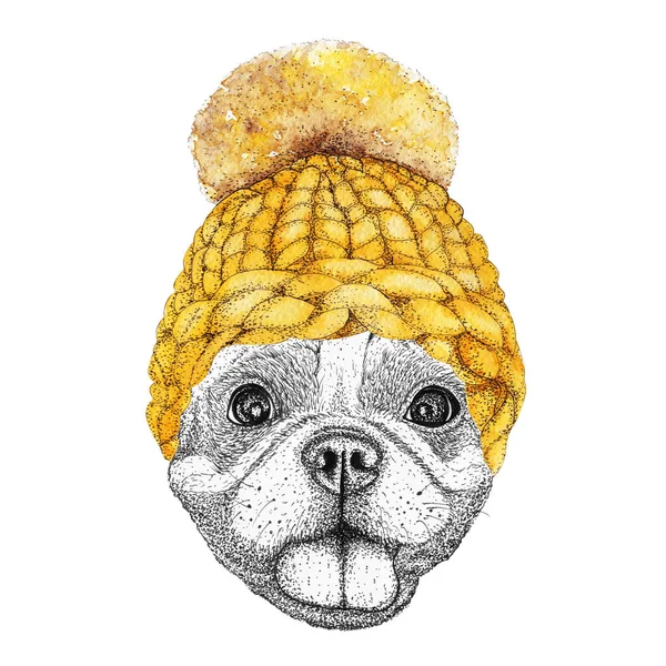 Bulldog Francês Com Chapéu Malha Amarelo Cachecol Ilustração Desenhada Mão — Fotografia de Stock