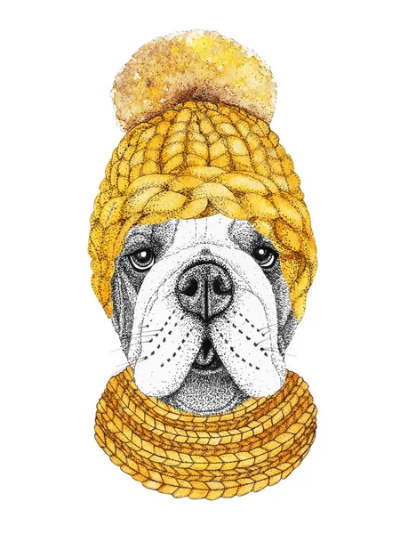 Buldok Žlutým Pleteným Kloboukem Šátkem Ručně Kreslené Ilustrace Oblečeného Psa — Stock fotografie