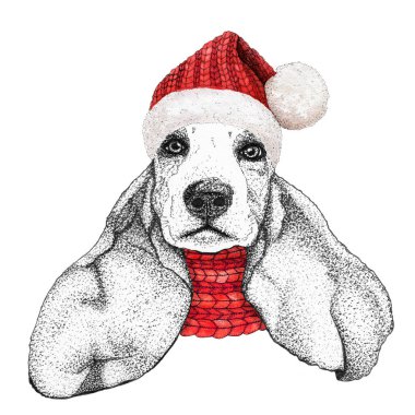 Noel tebrik kartı ve örgü örülmüş eşarp ve kırmızı şapka takan mutlu bir köpek..