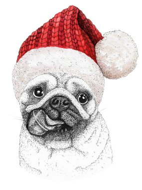 Noel tebrik kartı ve örgü kırmızı şapkalı mutlu bir köpek..