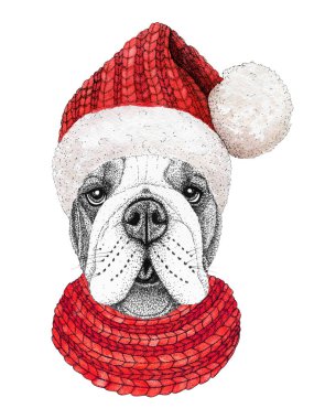 Noel tebrik kartı ve örgü örülmüş eşarp ve kırmızı şapka takan mutlu bir buldog..