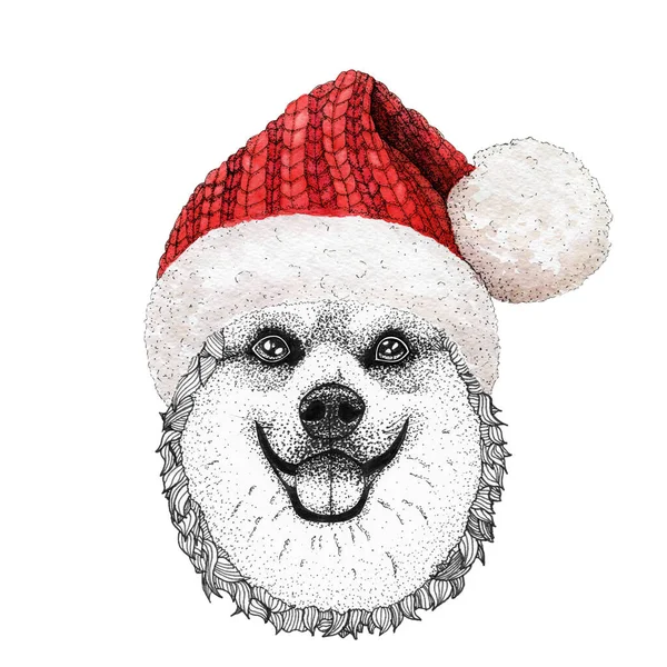 Tarjeta Felicitación Navidad Con Perro Feliz Corgi Invierno Usando Gorra — Foto de Stock