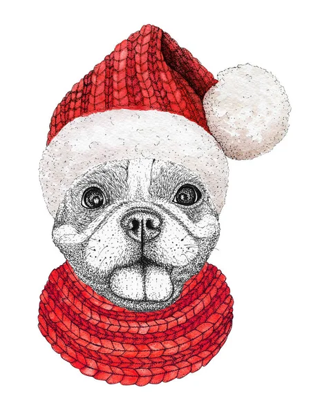 Natal Cartão Saudação Com Feliz Inverno Francês Bulldog Cão Vestindo — Fotografia de Stock