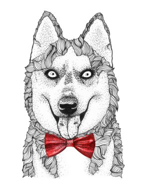 İri yapılı köpek kafası çizilmiş. Papyonlu suluboya köpek..