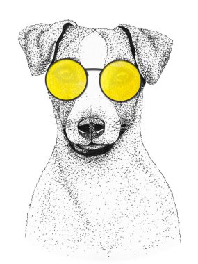 Jack Russell Terrier köpek kafası çizilmiş. Sarı gözlüklü köpek, izole edilmiş..
