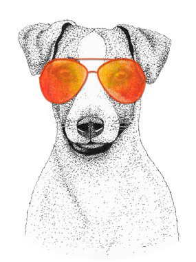 Jack Russell Terrier köpek kafası çizilmiş. Gözlüklü köpek, izole edilmiş..