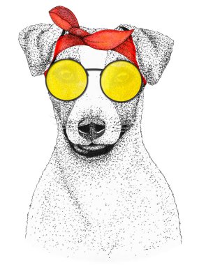 Jack Russell Terrier köpek kafası çizilmiş. Güneş gözlüklü köpek ve bandana, izole edilmiş..