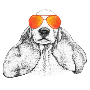 spanyel köpek kafası çizimi. Gözlüklü köpek, izole edilmiş..