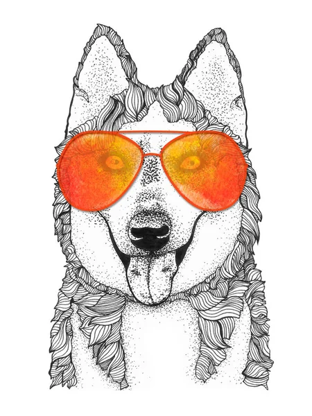 Husky Cão Cabeça Mão Desenhada Ilustração Doggy Óculos Sol Isolado — Fotografia de Stock