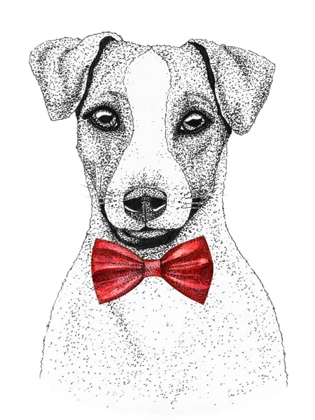 Jack Russell Terrier Cão Cabeça Mão Desenhada Ilustração Cão Aquarela — Fotografia de Stock