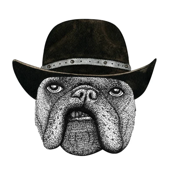 Fransız Bulldog Köpek Kafası Çizimi Vahşi Hayvan Kovboy Şapkası Takıyor — Stok fotoğraf