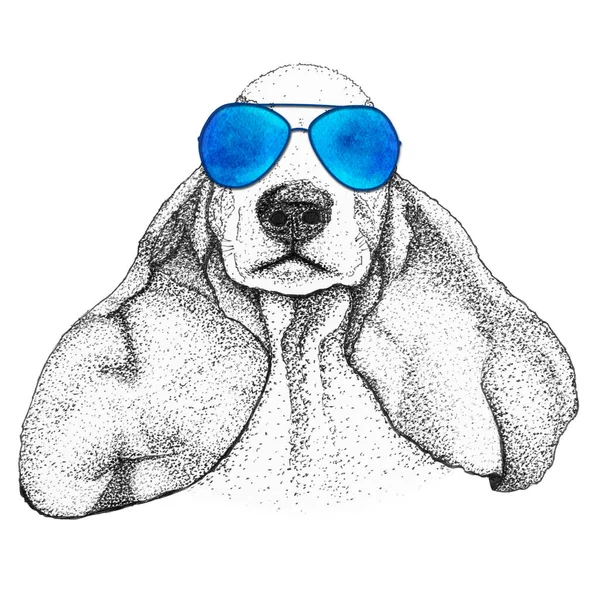 スパニエル犬の頭手描きイラスト 青いサングラスの犬 隔離された — ストック写真