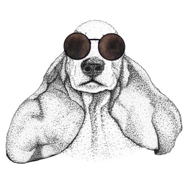 spanyel köpek kafası çizimi. Gözlüklü köpek, izole edilmiş..