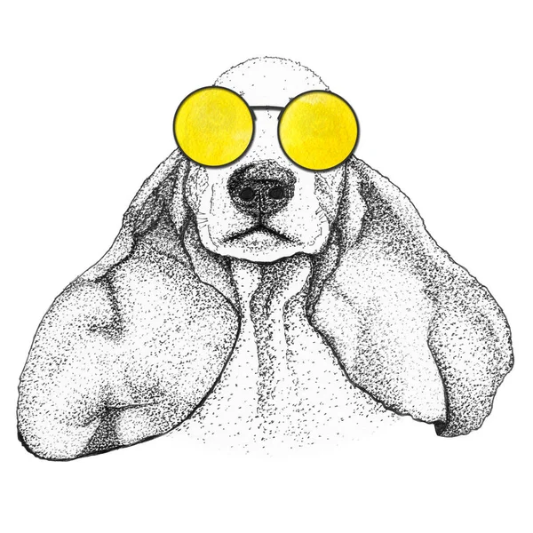 Cabeza Perro Spaniel Ilustración Dibujada Mano Perrito Gafas Sol Amarillas — Foto de Stock
