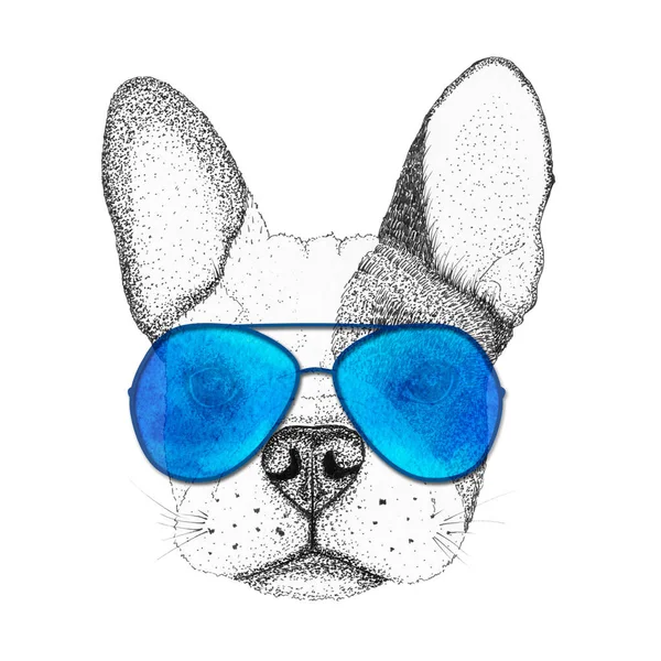 法国斗牛犬头手绘图解 戴着蓝色太阳镜的狗 孤身一人 — 图库照片