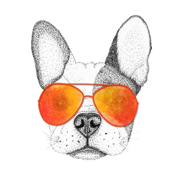 Skica Francouzský Buldok Hlava Ručně Kreslené Ilustrace Pes Slunečních Brýlích — Stock fotografie