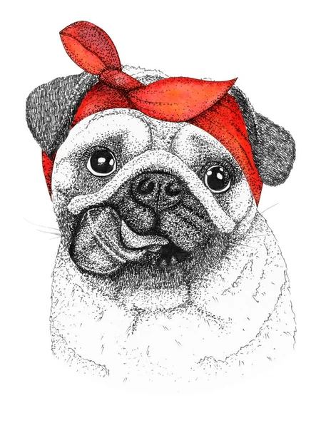 Pug Dog Head Hand Drawn Illustration Doggy Pin Red Bandana — Φωτογραφία Αρχείου