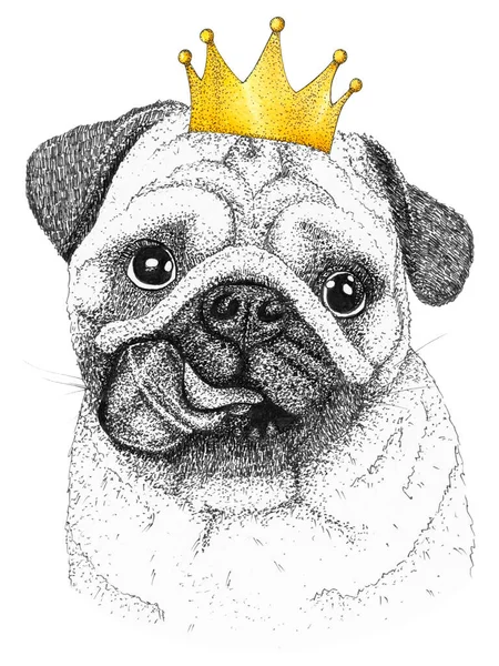 Мопс Собака Голова Рука Намальована Ілюстрація Собака Короною Голові — стокове фото
