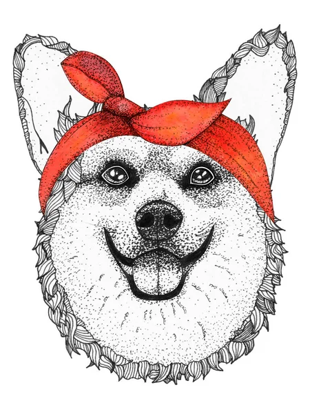 Tête Chien Corgi Illustration Dessinée Main Chien Pin Bandana Rouge — Photo