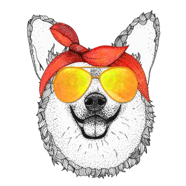 Corgi Dog Head Hand Drawn Illustration Doggy Sunglasses Pin Bandana — Stok fotoğraf