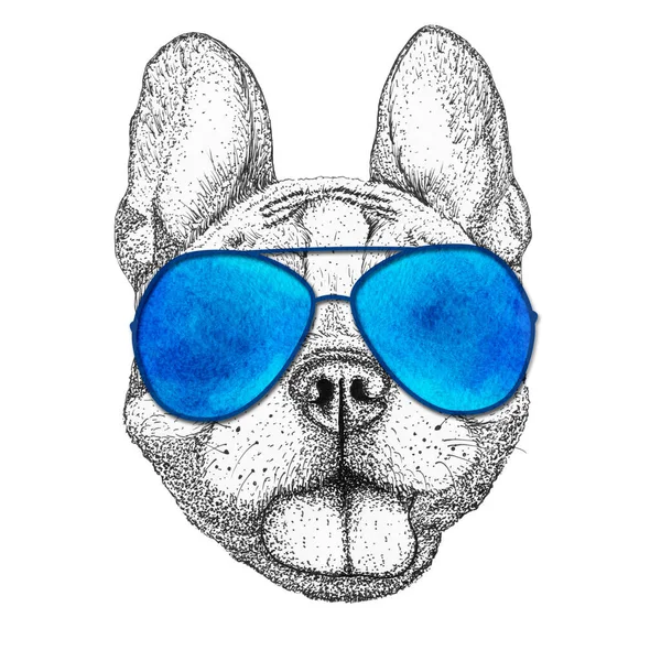 Feliz Francês Buldogue Cão Cabeça Mão Desenhada Ilustração Doggy Óculos — Fotografia de Stock
