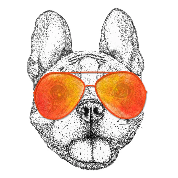 Feliz Perro Bulldog Francés Cabeza Ilustración Dibujada Mano Perrito Gafas — Foto de Stock
