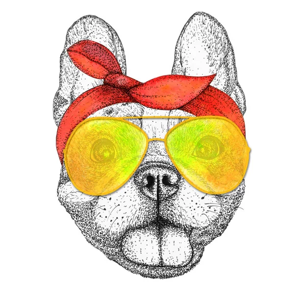 Feliz Francês Buldogue Cão Cabeça Mão Desenhada Ilustração Doggy Óculos — Fotografia de Stock