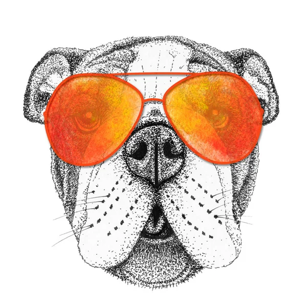 Bulldog Cabeza Perro Ilustración Dibujada Mano Perrito Gafas Sol Aislado —  Fotos de Stock