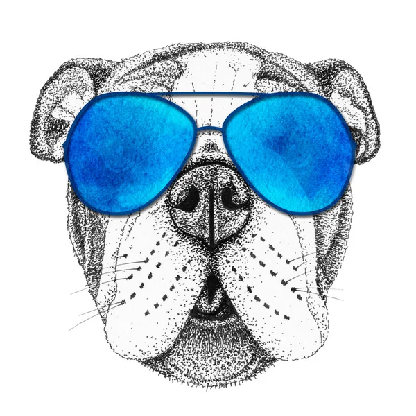 ブルドッグ頭手描きイラスト 青いサングラスの犬 隔離された — ストック写真