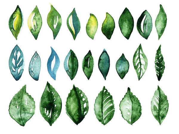 Collection Watercolor Set Green Watercolor Leaves Isolated White Background — Stock Photo, Image