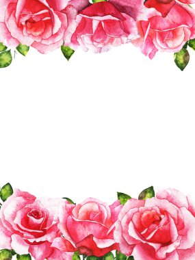 Çelenkler, çiçek çerçeveleri, suluboya çiçekler güller, el boyaması resimler. Tebrik kartı tasarımı için beyaza izole edilmiş.