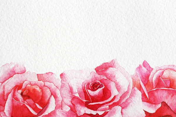 Akvarell Rózsák Illusztráció Kézzel Festett Elkülönítve Fehér Névjegykártyák Meghívók Képeslapok — Stock Fotó
