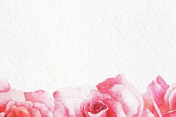 Akwarela Róże Ilustracja Ręcznie Malowane Odizolowane Biało Dla Wizytówek Zaproszeń — Zdjęcie stockowe