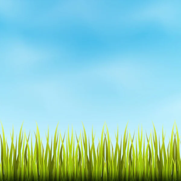 Tecknad Landskap Med Blå Himmel Och Grönt Gräs Äng Bakgrund — Stock vektor