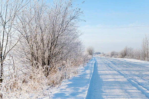 Gefrorene Pflanze im Raureif auf blauem Winterfeld. Winterlandschaft mit dem verschneiten Winterfeld. — Stockfoto