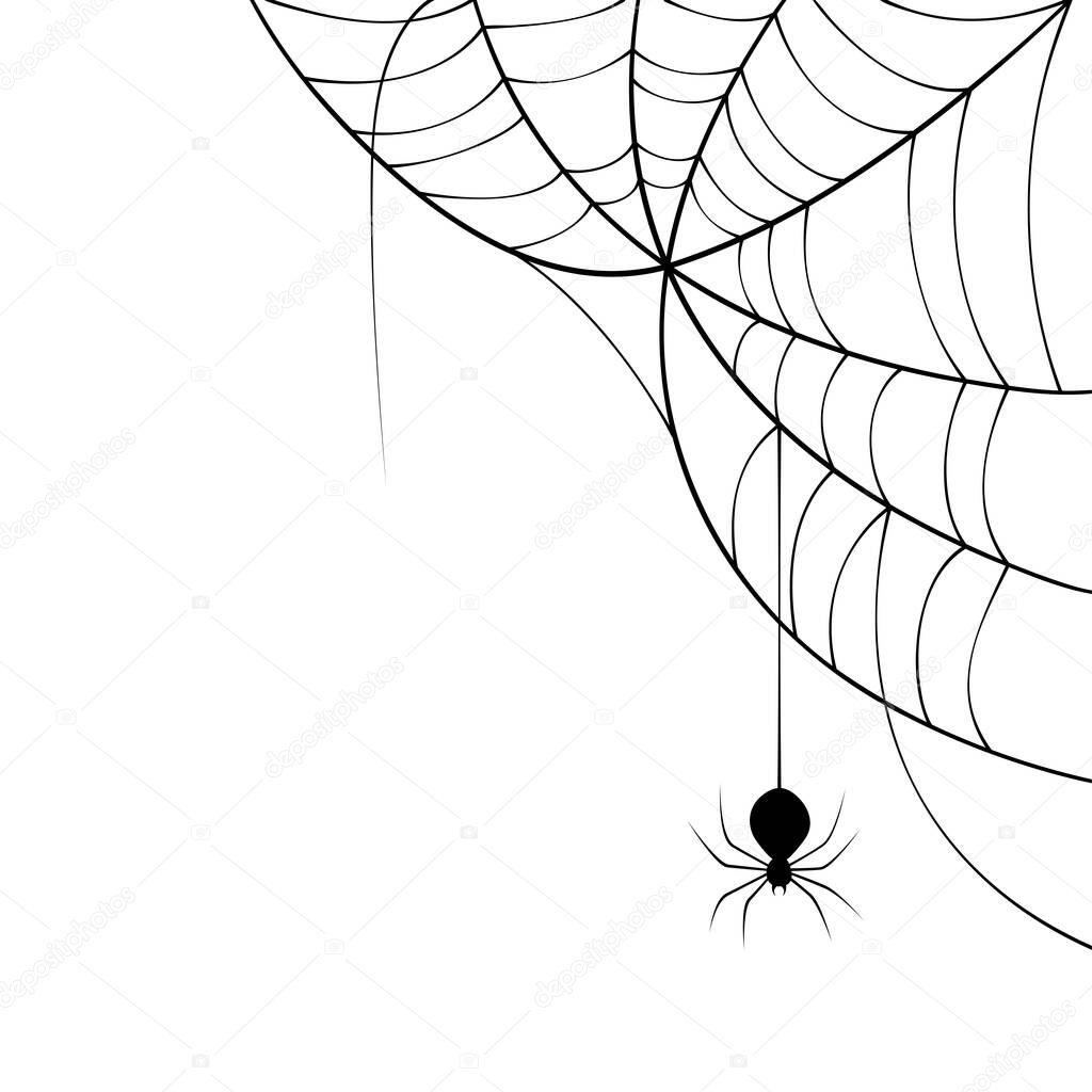 Black spider web. Halloween spider.