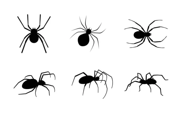 Sammlung verschiedener Spinnensilhouetten. — Stockvektor