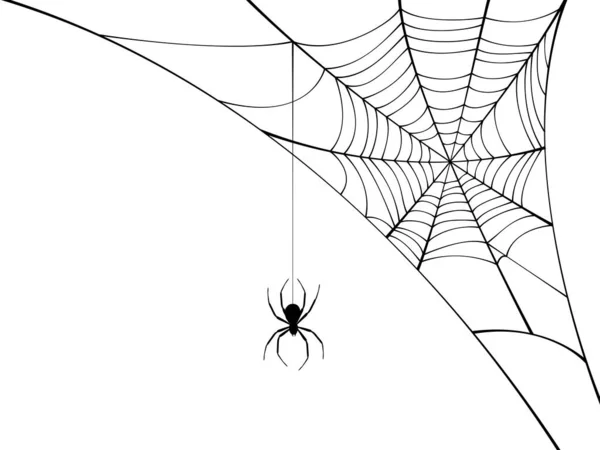 Corner spider web with black spider. — Vetor de Stock