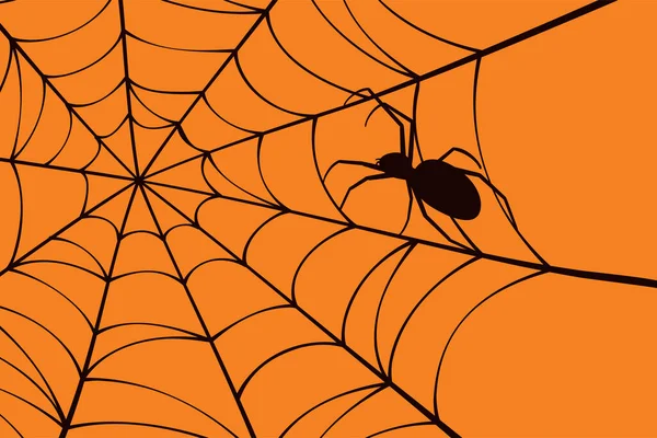 Kísérteties pók hálóval. Pókháló Halloween háttér. — Stock Vector