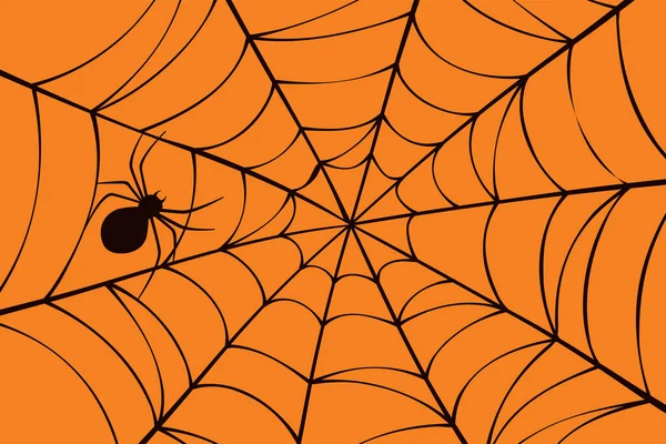 Halloween háttér pók és pókháló. — Stock Vector
