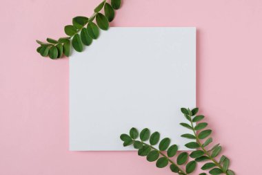 Tatil davetiyesi ya da indirimler ve terfiler duyurusu için pembe arka planda yeşil dalları olan beyaz bir sayfa.