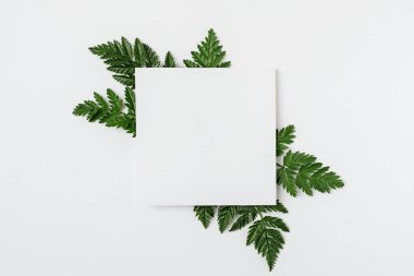 Gri arka planda yeşil dalları olan bir kağıt yaprak bir kutlamaya ya da indirimlere ve promosyonlara davet konsepti farklı festival etkinlikleri toplantılarına