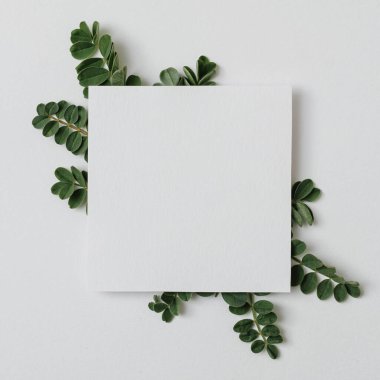 Reklam metniniz için gri arkaplanda yeşil yapraklı bir kağıt ve sosyal ağlarda reklamlar - Flora ile dekore edilmiş kopya alanı ile Banner - minimal düz gri arkaplan