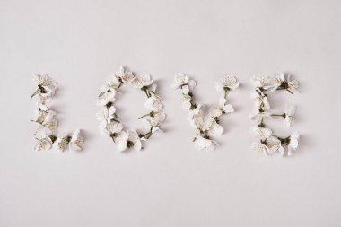 Aşk sözcüğü ya da tabiri beyaz kiraz çiçekleriyle yaratıldı. Kartpostal ya da yıldönümü ya da bayram etkinliği için en düşük konsept.