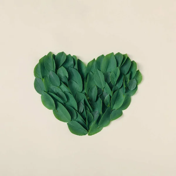 Human Heart Shape Made Green Leaves Beige Background Minimal Creative — Stock Photo, Image